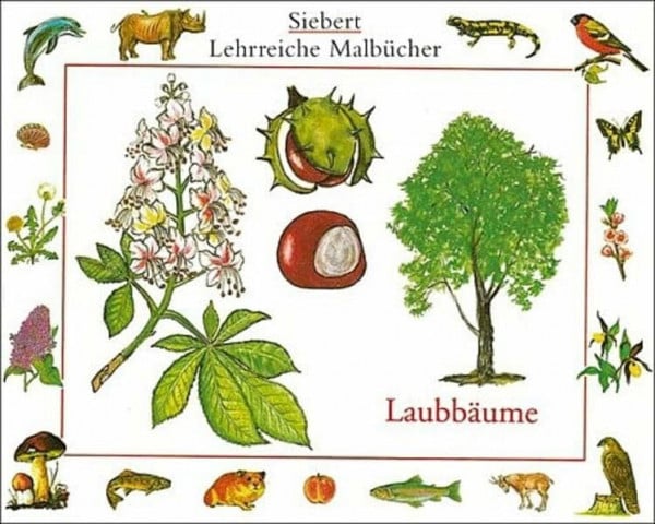 Etschmann, Walter Laubbäume: Malbuch. Verkaufseinheit (Siebert lehrreiche Malbücher)