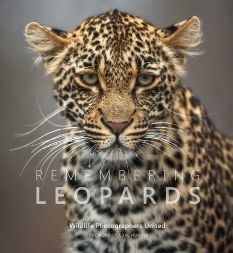 Hunter, Luke Remembering Leopards (Remembering Wildlife)