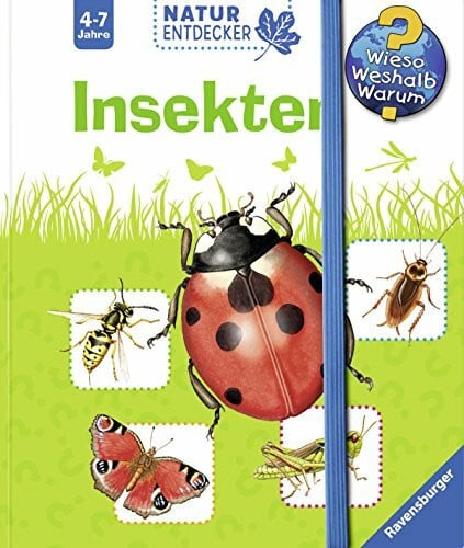 von Hacht, Esther Insekten (Wieso? Weshalb? Warum? Natur-Entdecker)