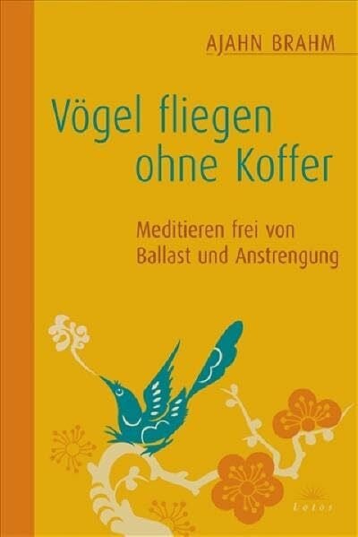 Jochen Lehner Vögel fliegen ohne Koffer: Meditieren frei von Ballast und Anstrengung