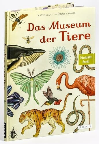 Scott, Katie Das Museum der Tiere: Eintritt frei! - Sachbilderbuch im Großformat für Kinder ab 8 Jahren mit über 200 meisterhaften Tier-Illustrationen von Katie Scott (Eintritt frei! Komm mit ins Museum, Band 1)