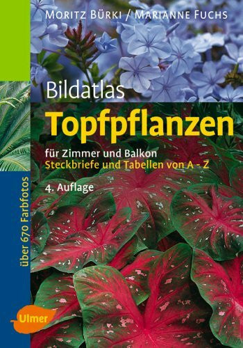 Fuchs, Marianne Bildatlas Topfpflanzen für Zimmer und Balkon: Steckbriefe und Tabellen von A - Z (Bildatlanten)