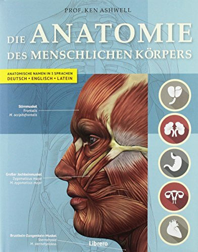 Ashwell, Ken DIE ANATOMIE DES MENSCHLICHEN KÖRPERS: Anatomische Namen in 3 Sprachen. Deutsch - Englisch - Latein