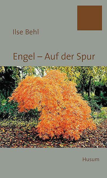 Ilse Behl Engel - Auf der Spur: Lyrische Dichtungen