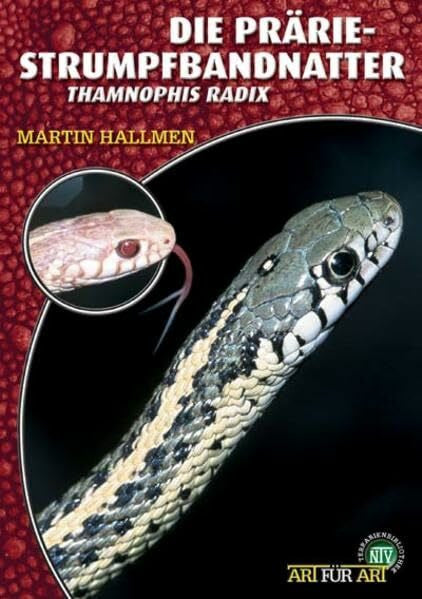 Hallmen, Martin Die Prärie-Strumpfbandnatter: Thamnophis radix (Buchreihe Art für Art Terraristik)