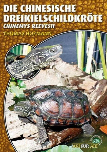 Hofmann, Thomas Die Chinesische Dreikielschildkröte: Chinemys reevesii (Buchreihe Art für Art Terraristik)