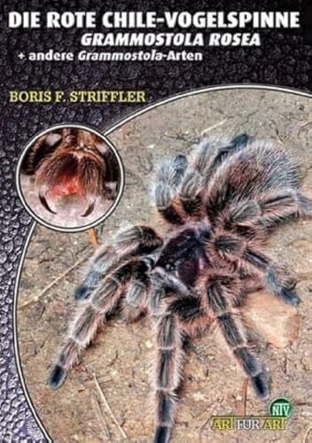 Striffler, Boris F. Die Rote Chile-Vogelspinne + andere Grammostola-Arten: Grammostola rosea