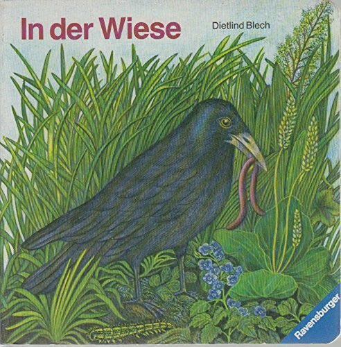 Blech, Dietlind In der Wiese