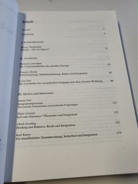 Weidenfeld, Werner (Hrsg.) Die Identität Europas