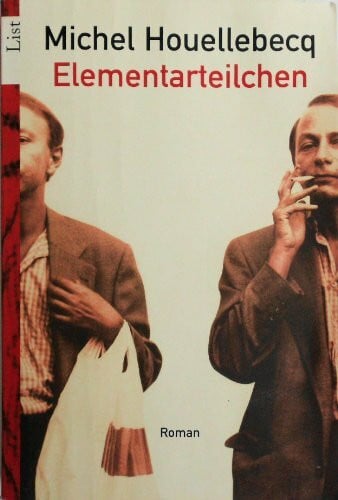 Uli Wittmann Elementarteilchen: Roman