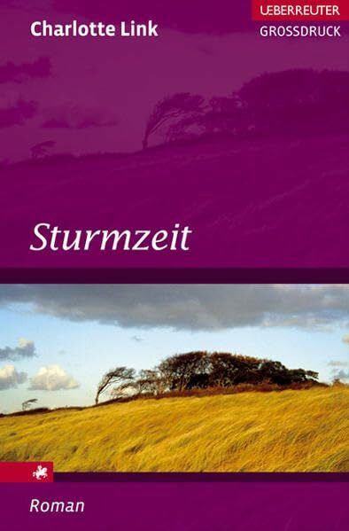 Link, Charlotte Sturmzeit (Ueberreuter Grossdruck)