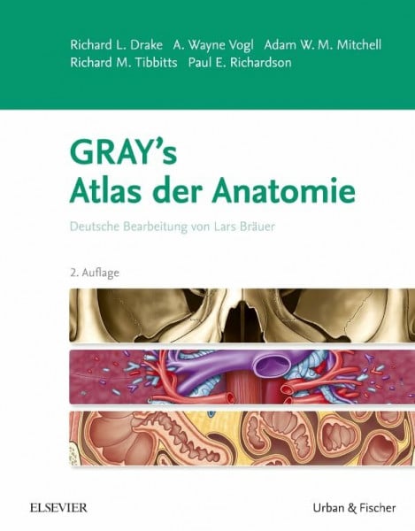 Vogl, Wayne A. Gray's Atlas der Anatomie: Deutsche Bearbeitung von Lars Bräuer