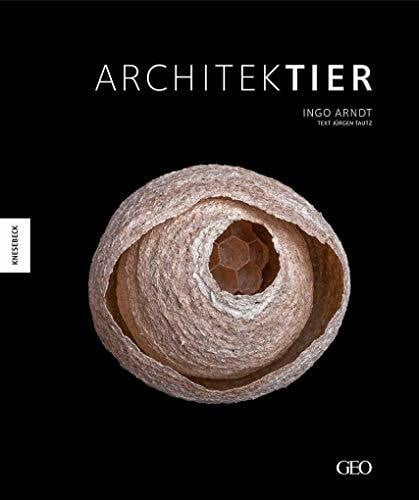 Tautz, Jürgen Architektier: Baumeister der Natur