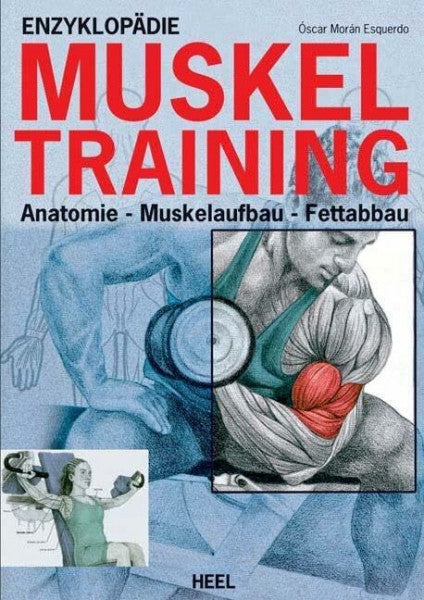 Barbara Eichenauer Enzyklopädie Muskeltraining: Anatomie - Muskelaufbau - Fettabbau
