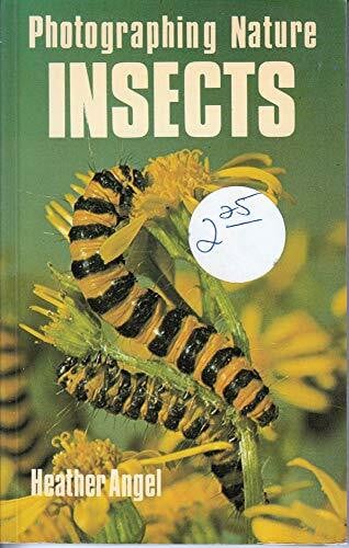 Angel, H. Insects (Photographing Nature)