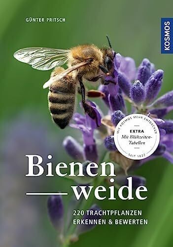 Pritsch, Günter Bienenweide: 220 Trachtpflanzen erkennen und bewerten