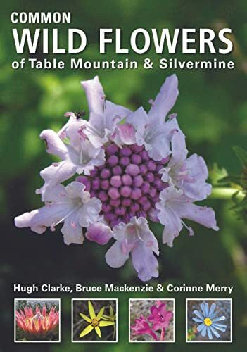 Clarke, Hugh Common Wild Flowers of Table Mountain & Silvermine