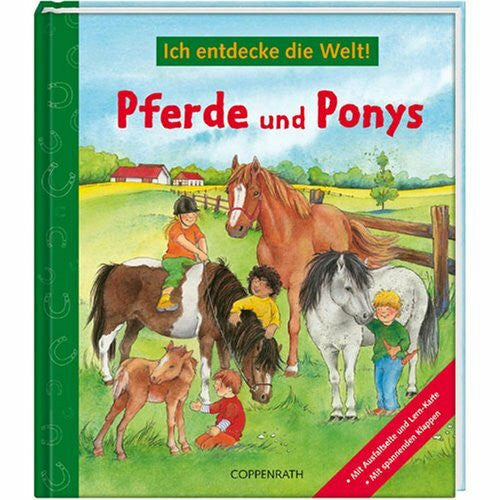 Wernsing-Bottmeyer, Barbara Pferde und Ponys: Ich entdecke die Welt! (Kreativ- und Sachbücher)
