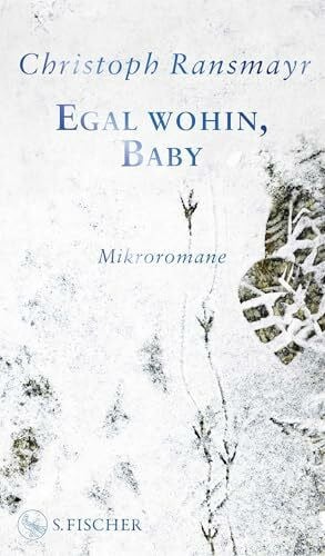 Ransmayr, Christoph Egal wohin, Baby: Mikroromane