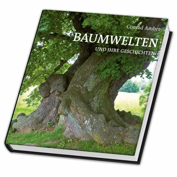 Amber, Conrad Baumwelten und ihre Geschichten