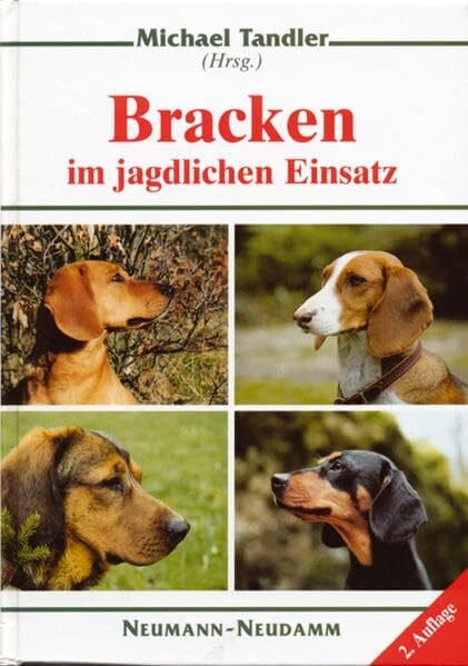 Wilmes, Klaus Bracken im jagdlichen Einsatz