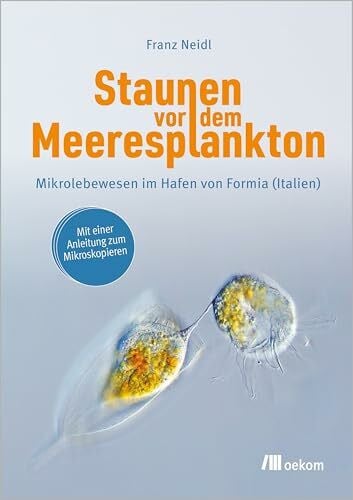 Neidl, Franz Staunen vor dem Meeresplankton: Mikrolebewesen im Hafen von Formia (Italien)