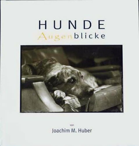 Huber, Joachim Hunde Augenblicke