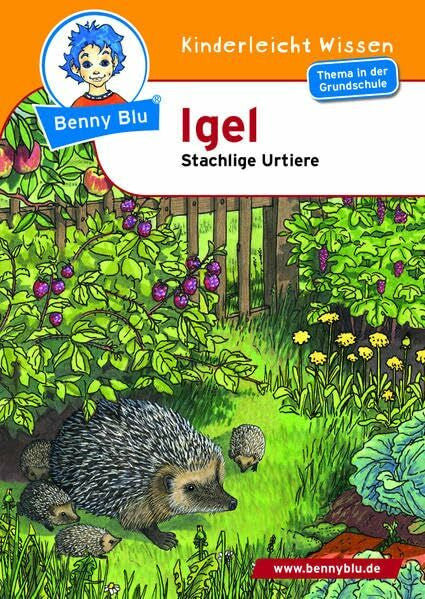 Knoblach, Claudia Benny Blu - Igel: Stachlige Urtiere (Benny Blu Kindersachbuch)