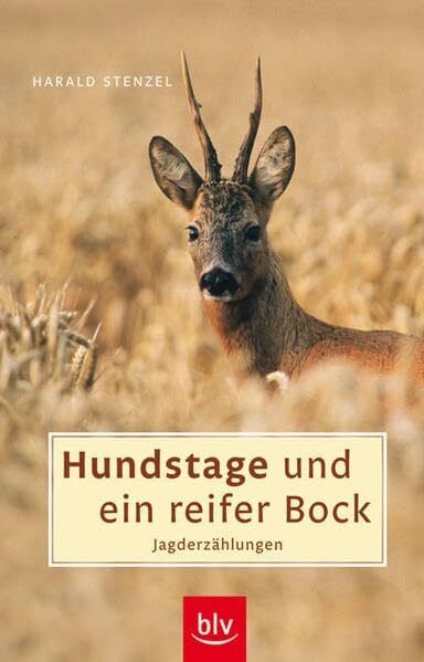 Stenzel, Harald Hundstage und ein reifer Bock: Jagderzählungen