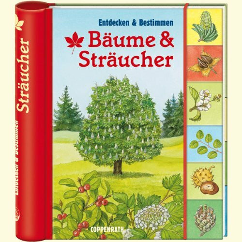 Barbara Wernsing Bäume und Sträucher