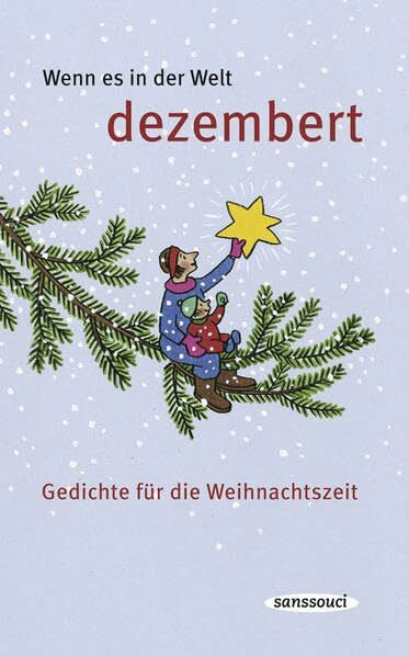Reinhardt, Christine Wenn es in der Welt dezembert: Gedichte für die Weihnachtszeit