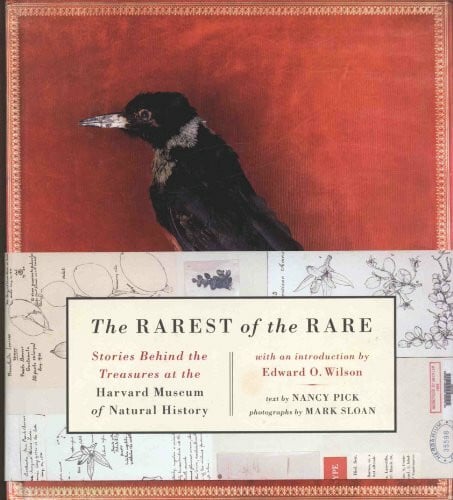 Sloan, Mark The Rarest of the Rare: Stories Behind the Treasures at the Harvard Museum of Natural History