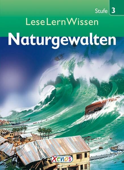 Ryan, Denise LeseLernWissen - Naturgewalten: Stufe 3
