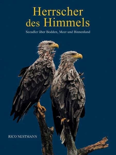 Nestmann, Rico Herrscher des Himmels: Seeadler über Bodden, Meer und Binnenland
