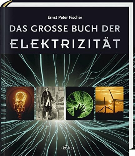 Fischer, Ernst Peter Das große Buch der Elektrizität