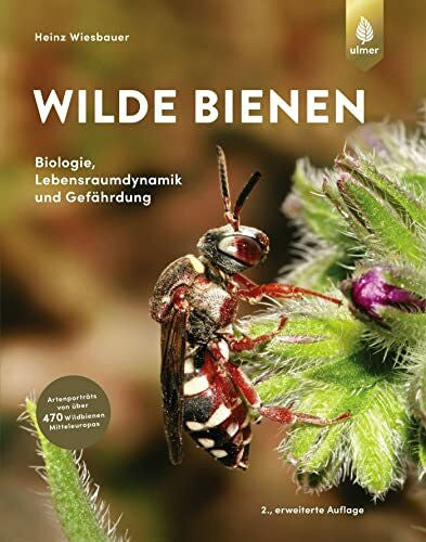 Wiesbauer, Heinz Wilde Bienen: Biologie, Lebensraumdynamik und Gefährdung. Artenporträts von über 470 Wildbienen Mitteleuropas