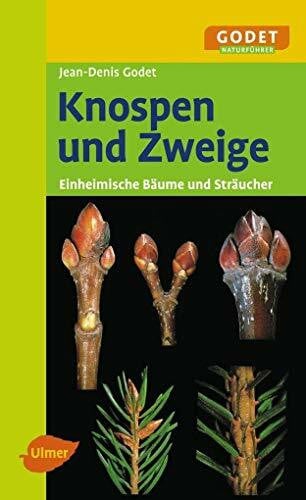 Godet, Jean-Denis Knospen und Zweige: Einheimische Bäume und Sträucher (GODET Naturführer)