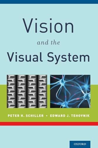 Schiller VISION AND THE VISUAL SYSTEM C