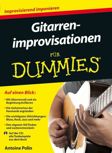 Fehn, Oliver Gitarrenimprovisationen für Dummies