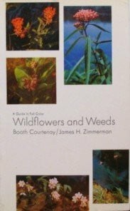 Zimmerman, James H. Wild Flowers and Weeds