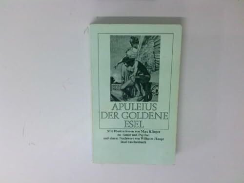 Haupt, Wilhelm Der goldene Esel (insel taschenbuch)
