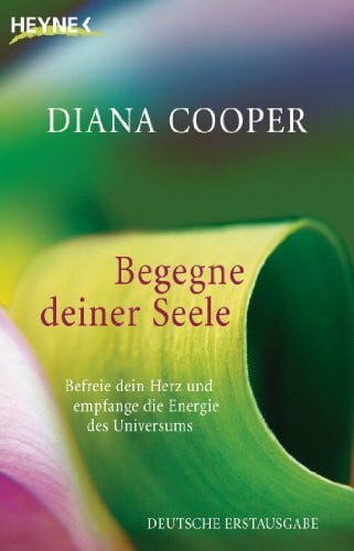 Miethe, Manfred Begegne deiner Seele: Befreie dein Herz und empfange die Energie des Universums