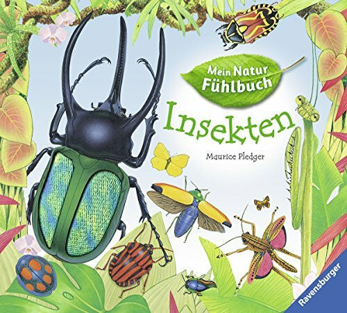 Pledger, Maurice Insekten (Mein Natur-Fühlbuch)