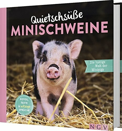Bensch, Katharina Quietschsüße Minischweine: Die lustige Welt der Mini-Pigs im einzigartigen Fan-Buch