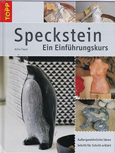 Fayet, Aline Speckstein - Ein Einführungskurs: Außergewöhnliche Ideen Schrit für Schritt erklärt