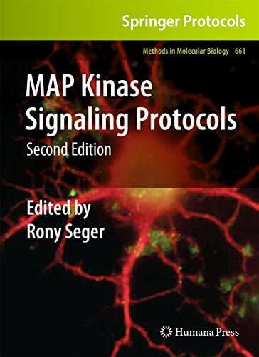 Seger, Rony MAP Kinase Signaling Protocols (Methods in Molecular Biology, 661, Band 661)