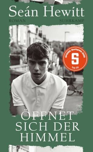 Hewitt, Seán Öffnet sich der Himmel: Roman | Würde ich alles riskieren für die Möglichkeit der Liebe?
