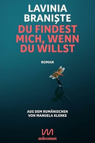 Klenke, Manuela Du findest mich, wenn du willst: Roman