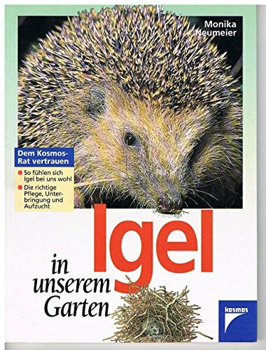Monika Neumeier Igel in unserem Garten
