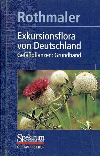 Werner, Klaus Exkursionsflora von Deutschland 2. Gefäßpflanzen. Grundband